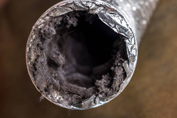 Best Best Air Duct Cleaning Company  in Carbon Hill, AL