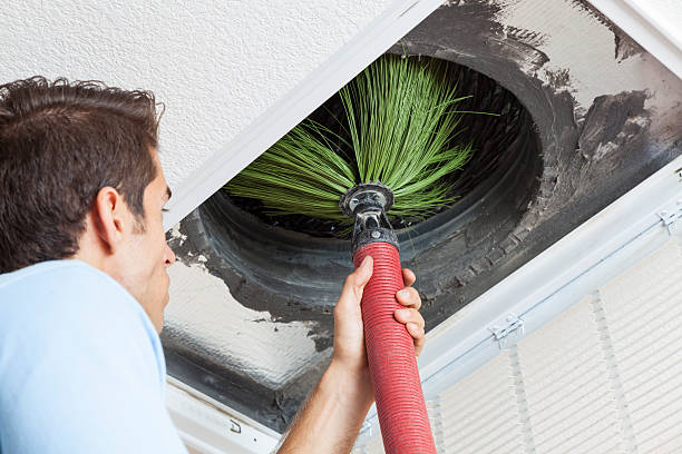 Best Residential Air Duct Cleaning  in Carbon Hill, AL